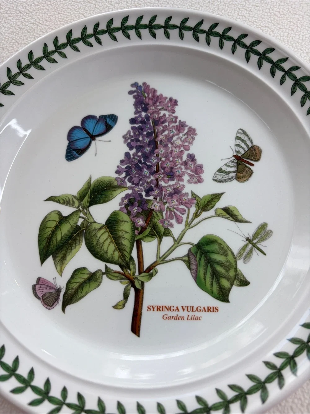 Portmeirion Botanic Garden 4 Salad plates